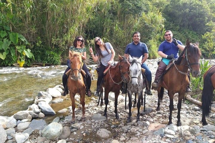 Horseback Through Cocora Valley: Salento Day Ride Among Wax Palms photo 6