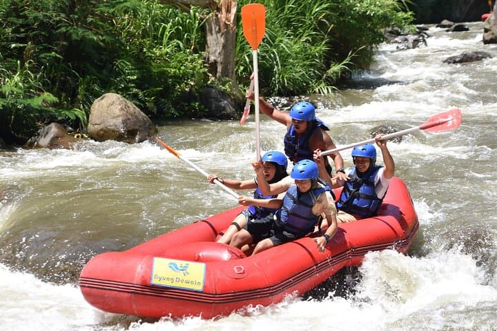 Ubud ATV and White-Water Rafting Combo — Half-Day Adventure with Lunch photo 5