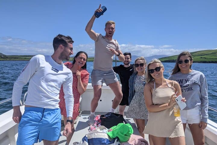 Private 1-Hour Skippered Boat Tour on the Dingle Peninsula — Cliffs, Sea Arches & Dolphins