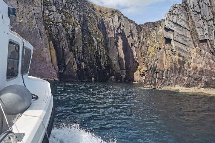 Private 1-Hour Skippered Boat Tour on the Dingle Peninsula — Cliffs, Sea Arches & Dolphins photo 4