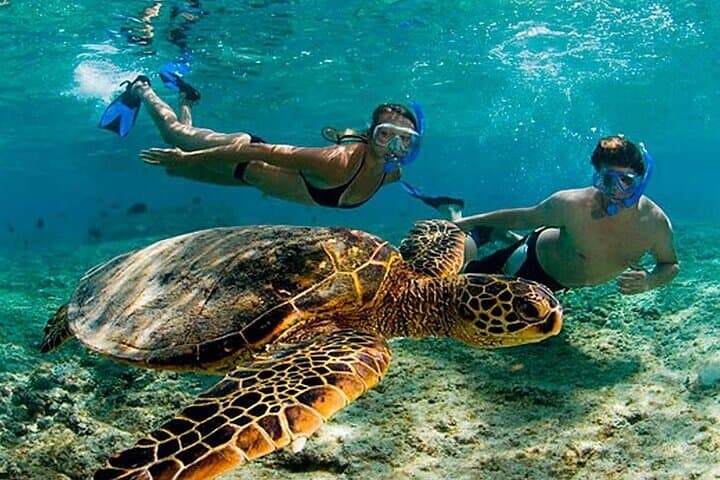 Tulum Ruins and Akumal Turtle Swim: Full-Day Culture & Snorkel Excursion from Tulum photo 2