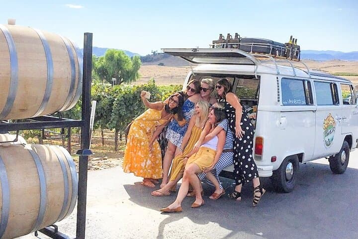 VW Bus Wine Tour in Temecula: Ultimate California Day-Drinking Experience photo 6