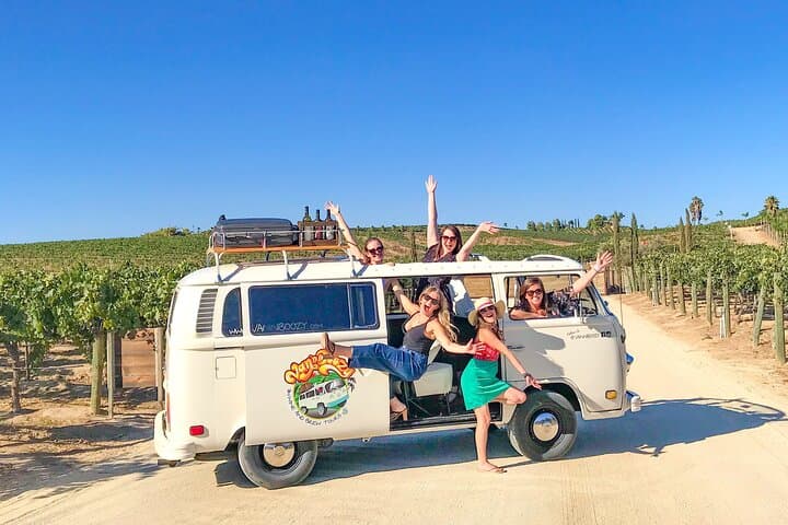 VW Bus Wine Tour in Temecula: Ultimate California Day-Drinking Experience photo 2
