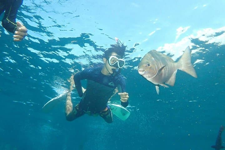 Snorkel the USAT Liberty: Tulamben Shipwreck Adventure in Karangasem, Bali photo 1