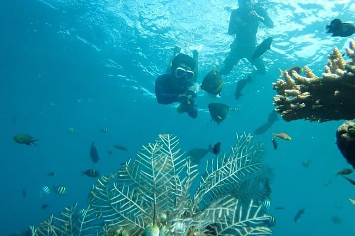 Snorkel the USAT Liberty: Tulamben Shipwreck Adventure in Karangasem, Bali photo 2