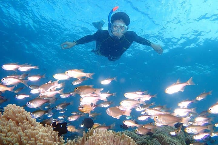 Snorkel the USAT Liberty: Tulamben Shipwreck Adventure in Karangasem, Bali photo 3