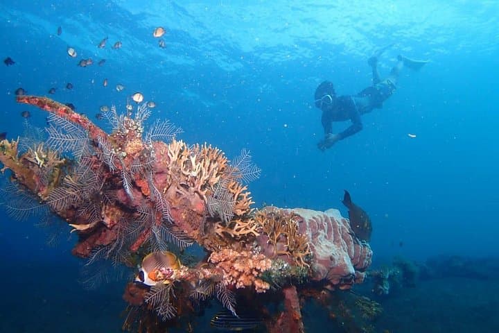 Snorkel the USAT Liberty: Tulamben Shipwreck Adventure in Karangasem, Bali photo 4