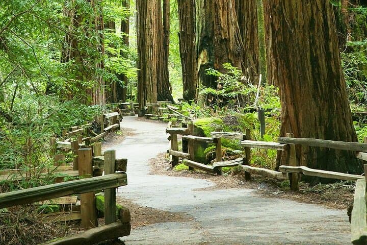 Alcatraz & Muir Woods Express: Golden Gate Bridge Day Tour from San Francisco