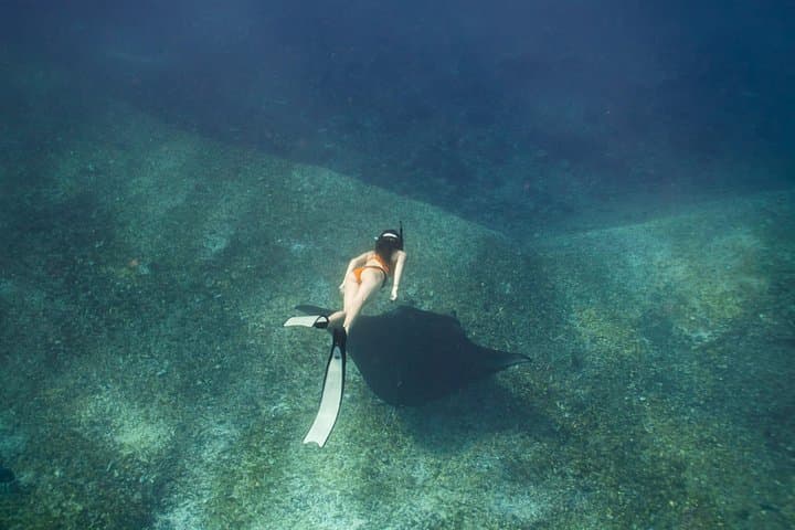 Full-Day Komodo Island Speedboat Tour: Padar, Komodo Dragons & Manta Snorkel photo 2