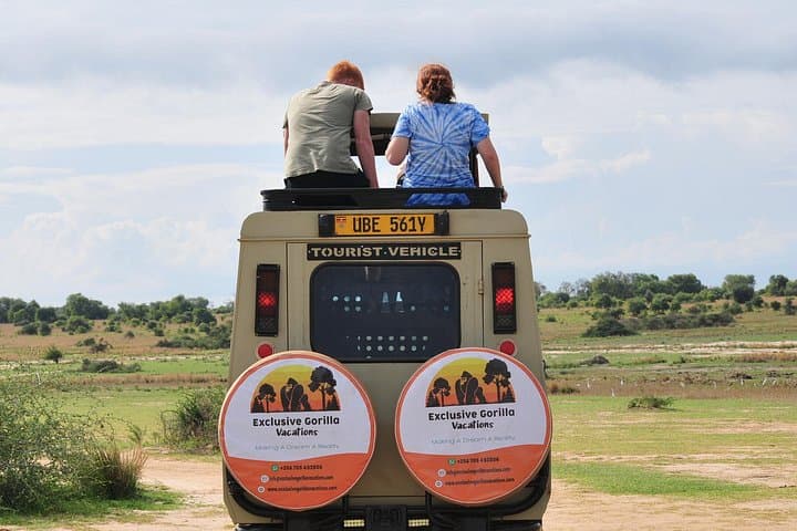 12-Day Uganda Big 5 Safari: Chimpanzee & Gorilla Trekking from Kampala to Bwindi photo 2