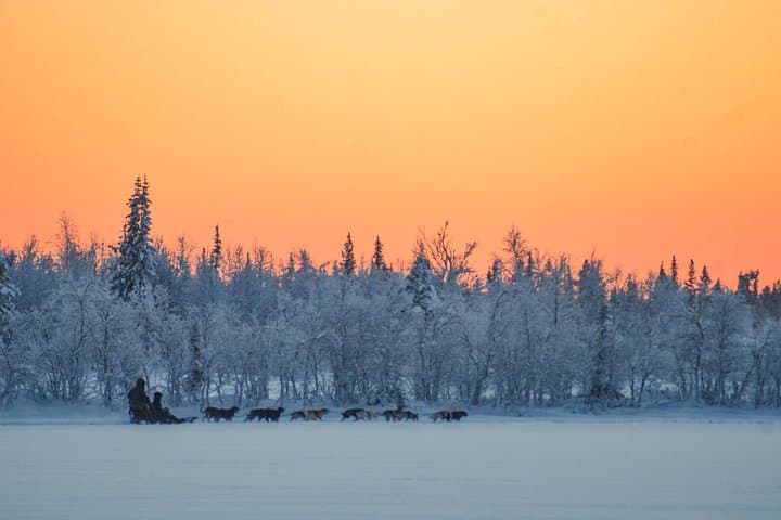 Sunrise Zen Husky Tour in Kiruna — Sit-on-Sled Huskies & Puppy Meet photo 4