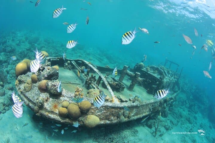 Snorkel Tugboat & Director's Bay — Caracas Bay Shore Trip, Curaçao photo 5