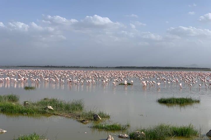 Amboseli National Park Safari — 3-Day Elephant & Kilimanjaro Game Drives photo 6