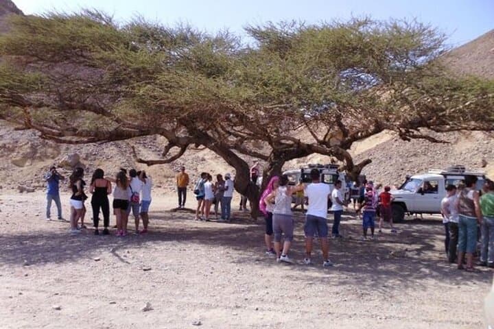 Bedouin BBQ Desert Experience from Hurghada: 4x4, Camel Ride & Stargazing photo 5