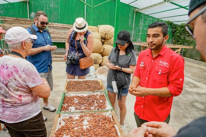 Monteverde Coffee, Chocolate & Sugar Cane Tour — Farm-to-Cup Taste Experience photo 4