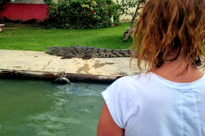 Black River Safari, YS Falls and Appleton Rum Tour from Montego Bay