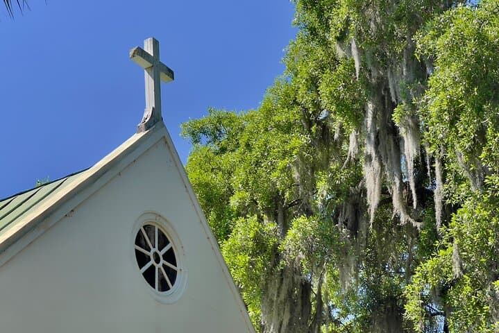 Ashley River Road Plantations Half-Day Tour — Charleston History & Garden Stops photo 6