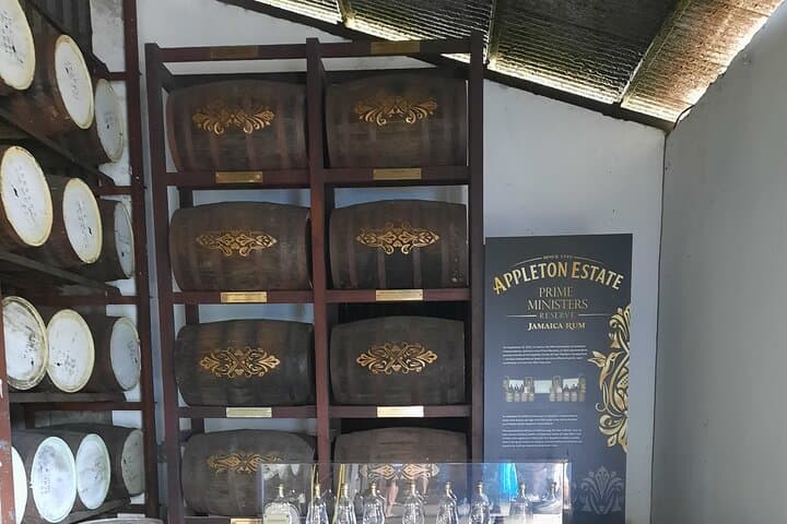 Black River Safari, YS Falls and Appleton Rum Tour from Montego Bay photo 4