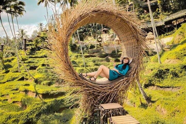 Best Bali 1-Day Private Ubud Tour: Rice Terraces, Temples & Swing