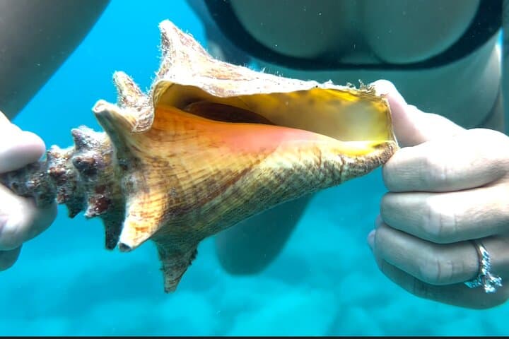 Full-Day Luxury Catamaran Turtle Snorkel and Honeymoon Beach Getaway in St. Thomas photo 5