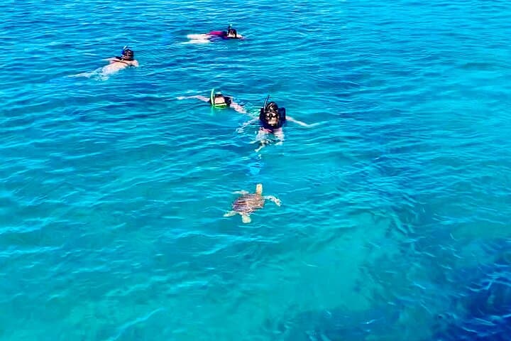 Full-Day Luxury Catamaran Turtle Snorkel and Honeymoon Beach Getaway in St. Thomas