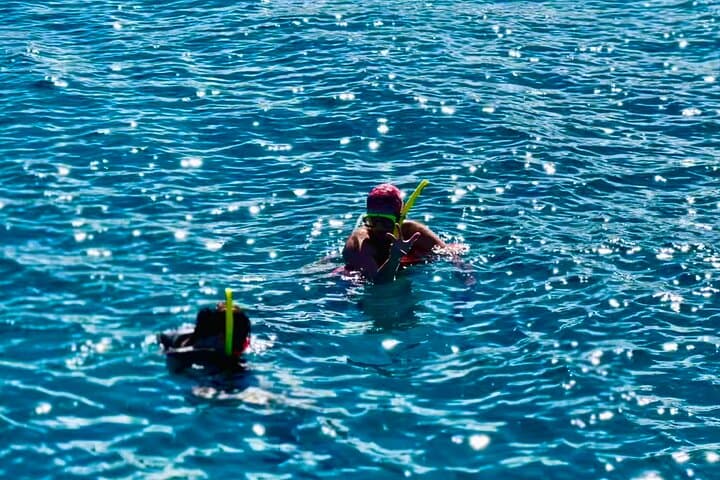 Full-Day Luxury Catamaran Turtle Snorkel and Honeymoon Beach Getaway in St. Thomas photo 3