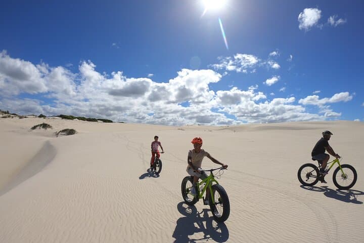 Morning Fatbike Dune Tour on Walker Bay — Downhill Sand Rides & Whale Views photo 5
