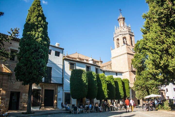 Full-Day Ronda Tour from Seville — Puente Nuevo, Bullring & White Towns photo 2