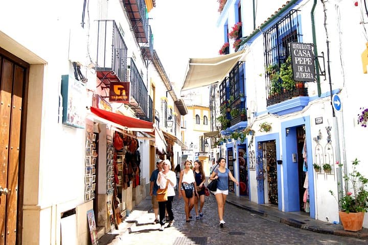 Day Trip to Córdoba's Mezquita from Málaga — Private Transfer & Guided Visit photo 4