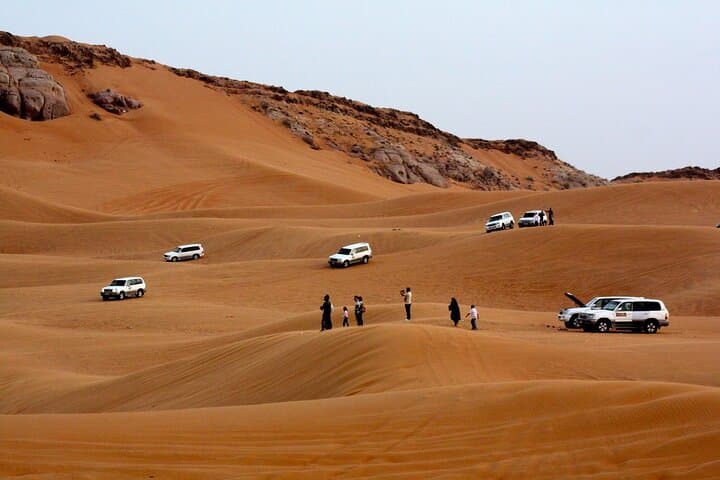 Dubai Red Dune Safari: Morning Dune Bashing, Sandboarding & Camel Ride