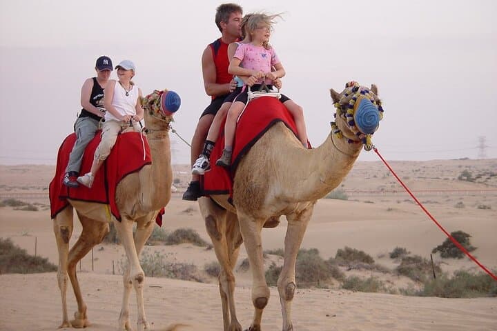 Dubai Red Dune Safari: Morning Dune Bashing, Sandboarding & Camel Ride photo 3