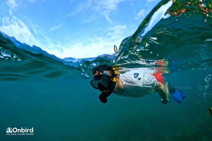Phu Quoc Private Speedboat Snorkel to South Hidden Reefs (An Thoi) photo 6