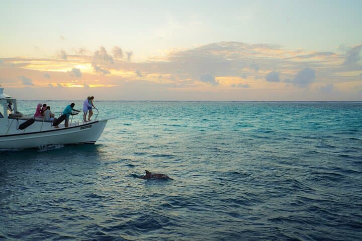Sunset Champagne Cruise Along Cape Town's Atlantic Seaboard photo 6