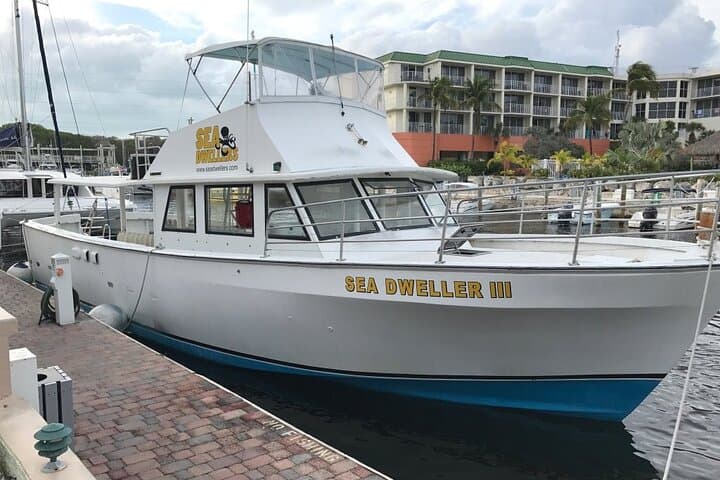 Key Largo 2-Tank Scuba Dive — 65-Minute Sites at Molasses & French Reef