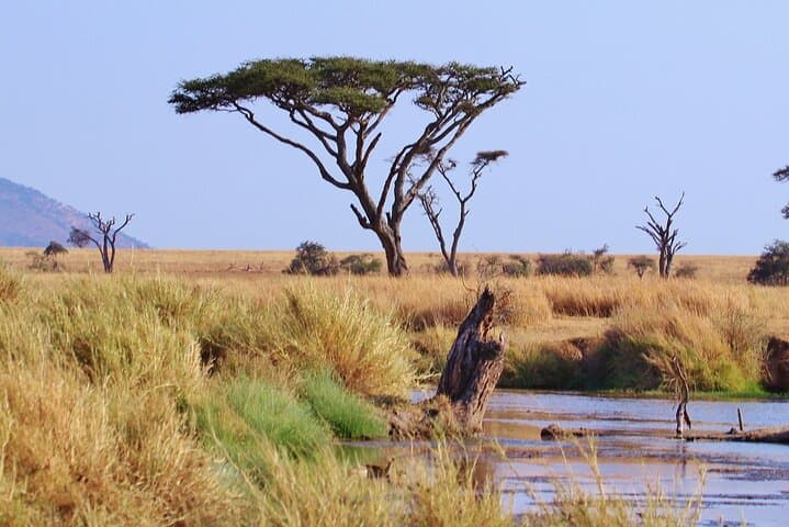 6-Day Luxury Migration Safari: Ngorongoro, Ndutu & Serengeti Wildebeest Route photo 3
