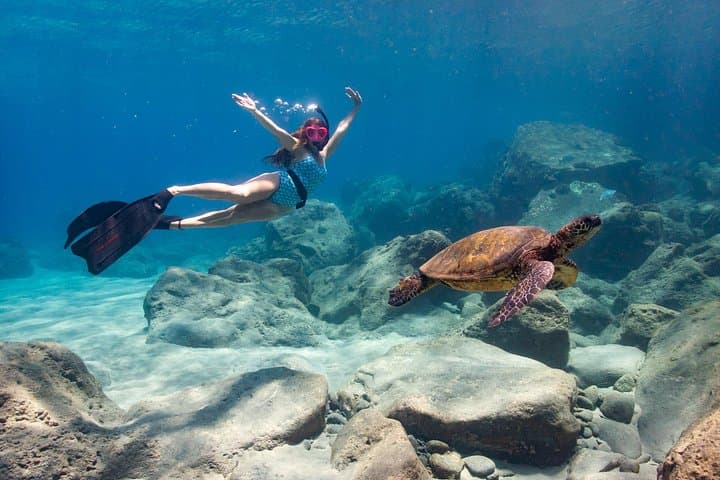 Private Custom Kayak Tour from Lahaina — Whale Watching, Snorkel & Bottom Fishing in Olowalu photo 3