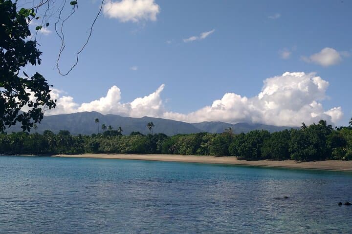 Upolu Lava Cliffs and Aganoa Black Sand Beach: Day Trip from Apia photo 6