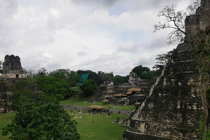 Tikal Day Adventure from San Ignacio: Guide to a Full-Day Maya Ruins Excursion photo 4