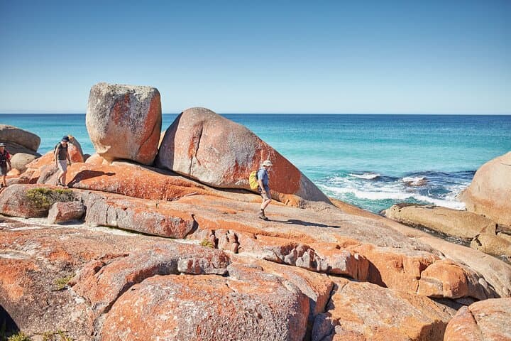 Bay of Fires 4-Day Hiking Tour: Larapuna to The Gardens Coastal Walk photo 2