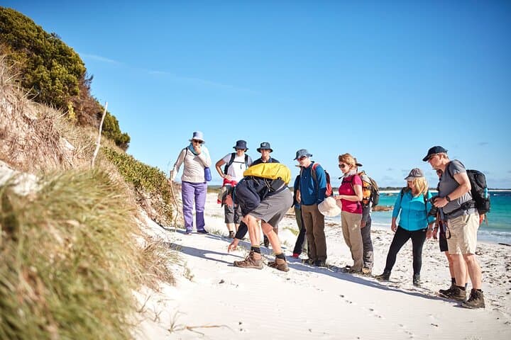 Bay of Fires 4-Day Hiking Tour: Larapuna to The Gardens Coastal Walk photo 3