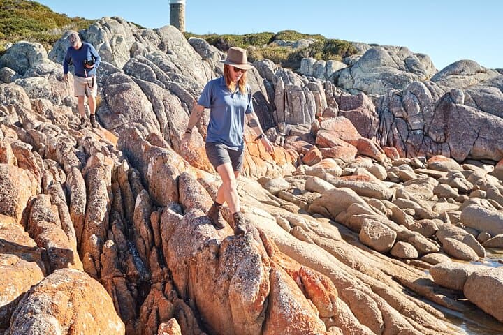 Bay of Fires 4-Day Hiking Tour: Larapuna to The Gardens Coastal Walk photo 5