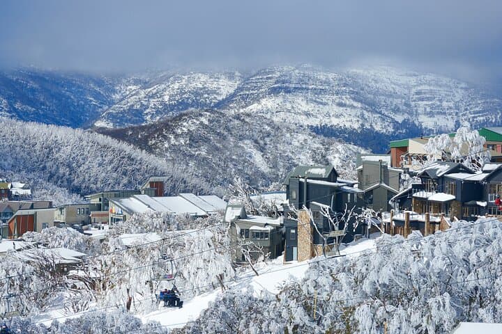 Full-Day Mount Buller Ski and Snow Play Tour from Melbourne photo 3