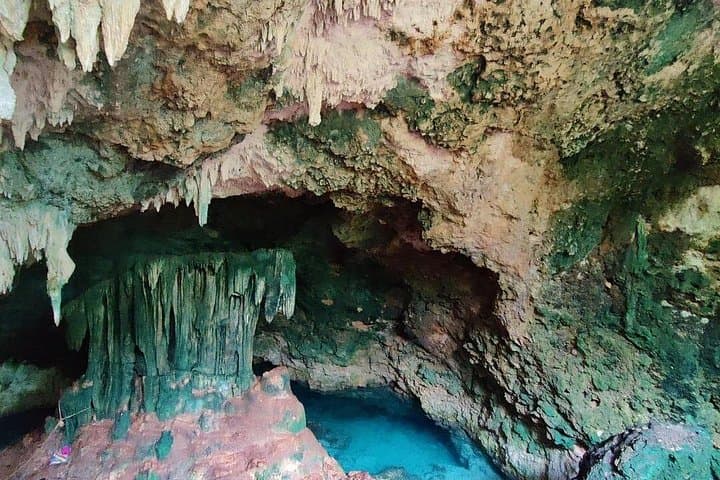 Salaam Cave to Paje Beach: Full-Day Zanzibar Swim, Forest & Coastal Tour photo 4