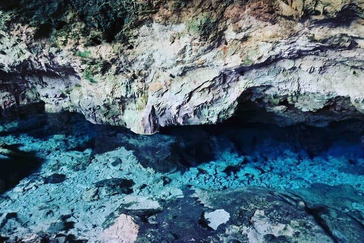Kuza Cave to Stone Town: 5-Day Zanzibar Highlights — Jozani Monkeys & Salaam Cave Turtles photo 2