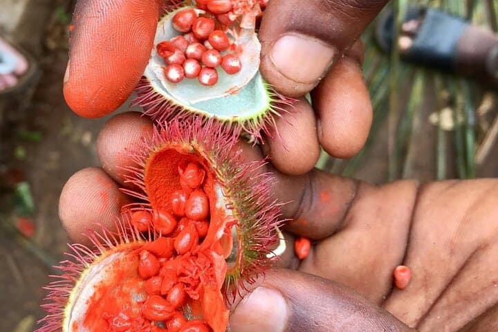 Zanzibar full-day spice garden, Stone Town & Kendwa beach experience photo 3