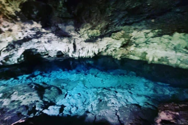 Zanzibar Full-Day: Kuza Cave, Mnemba Snorkel, Salaam Cave Turtles & Jozani Monkeys photo 2
