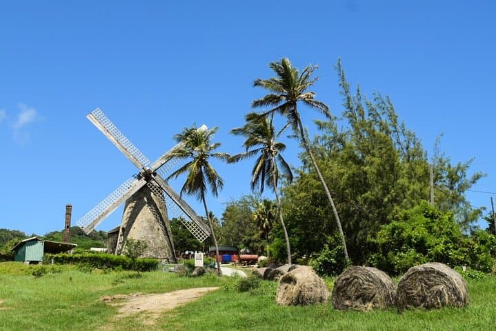 Bajan Highlights Shore Excursion — Cherry Tree Hill, Bathsheba & Morgan Lewis Windmill