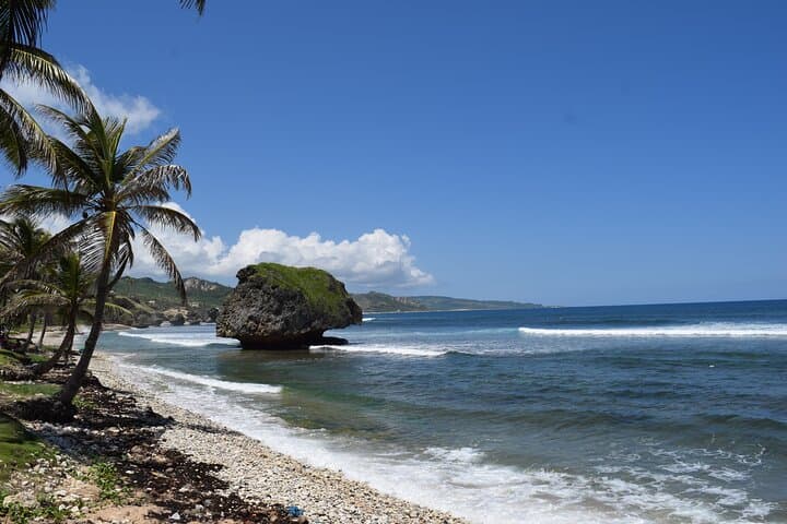 Bajan Highlights Shore Excursion — Cherry Tree Hill, Bathsheba & Morgan Lewis Windmill photo 5