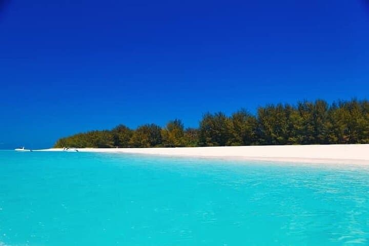 Mnemba Dolphin & Spice Island Day Tour from Stone Town — Snorkel Mnemba Atoll, Prison Island & Spice Farm photo 3
