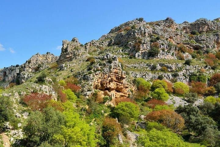Murgia Materana Park Tour: Guided Hike to Matera's Rock Churches photo 4